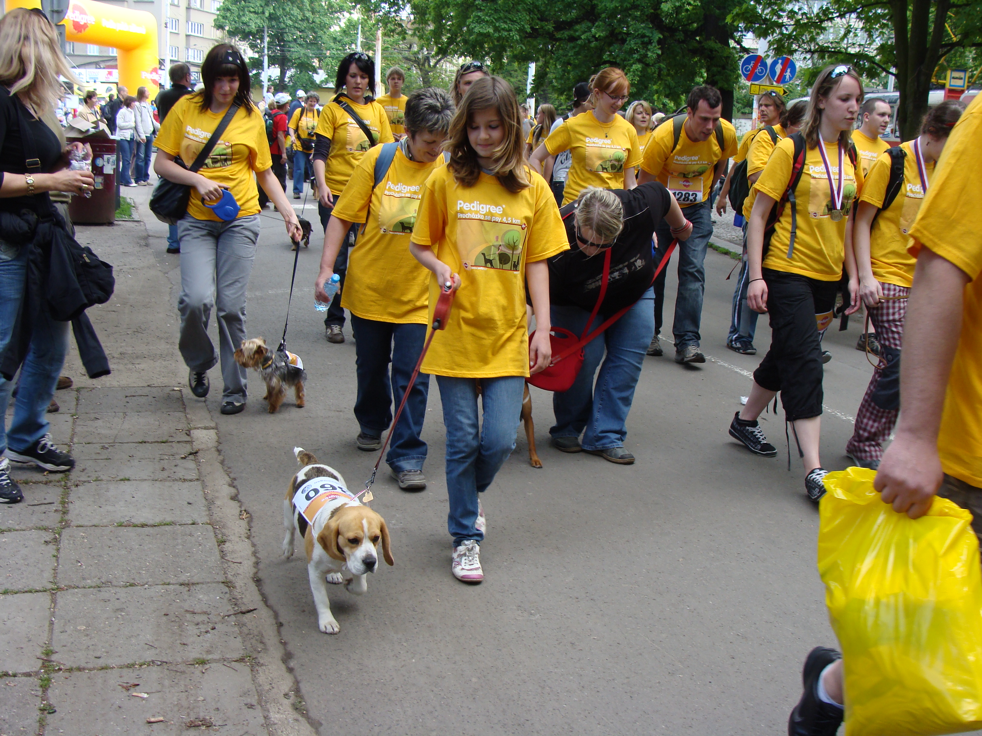 pedigri-maraton-ve-stomovce-8.kvetna-2010.-047